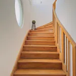 V Centru Krumlova Český Krumlov