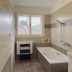 V Centru Krumlova Český Krumlov