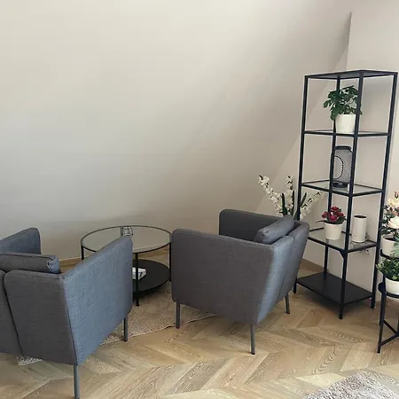 アパート V Centru Krumlova チェスキー クルムロフ